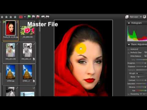 What is corel aftershot